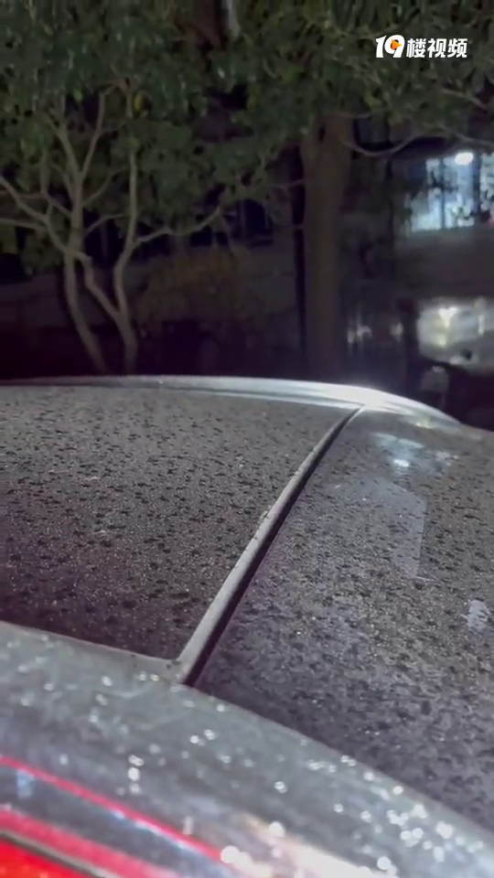 ������ѩ�ӣ�Сѩ�������Ǹ��ܵ�����