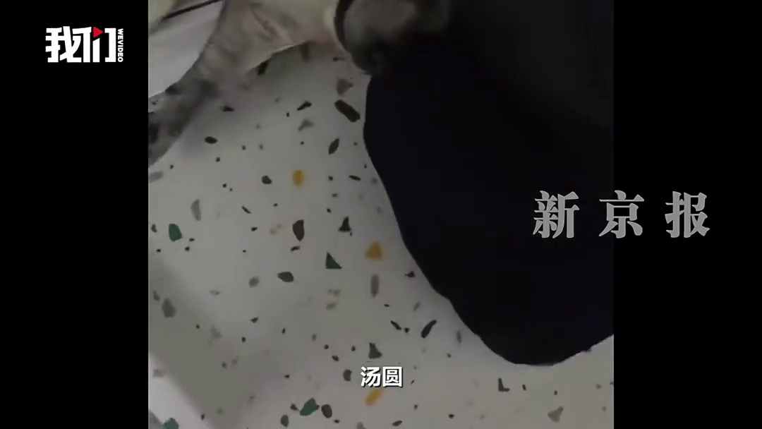 ̨��һŮ�ӳƳ��ﹷ�ڳ���ԡ��ϴ����������ɱ��ź�ɻ���2Сʱ